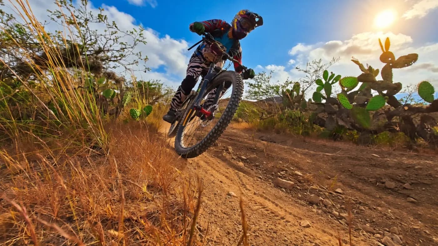 Gravity Lines — Ecuadorian Andes MTB expedition