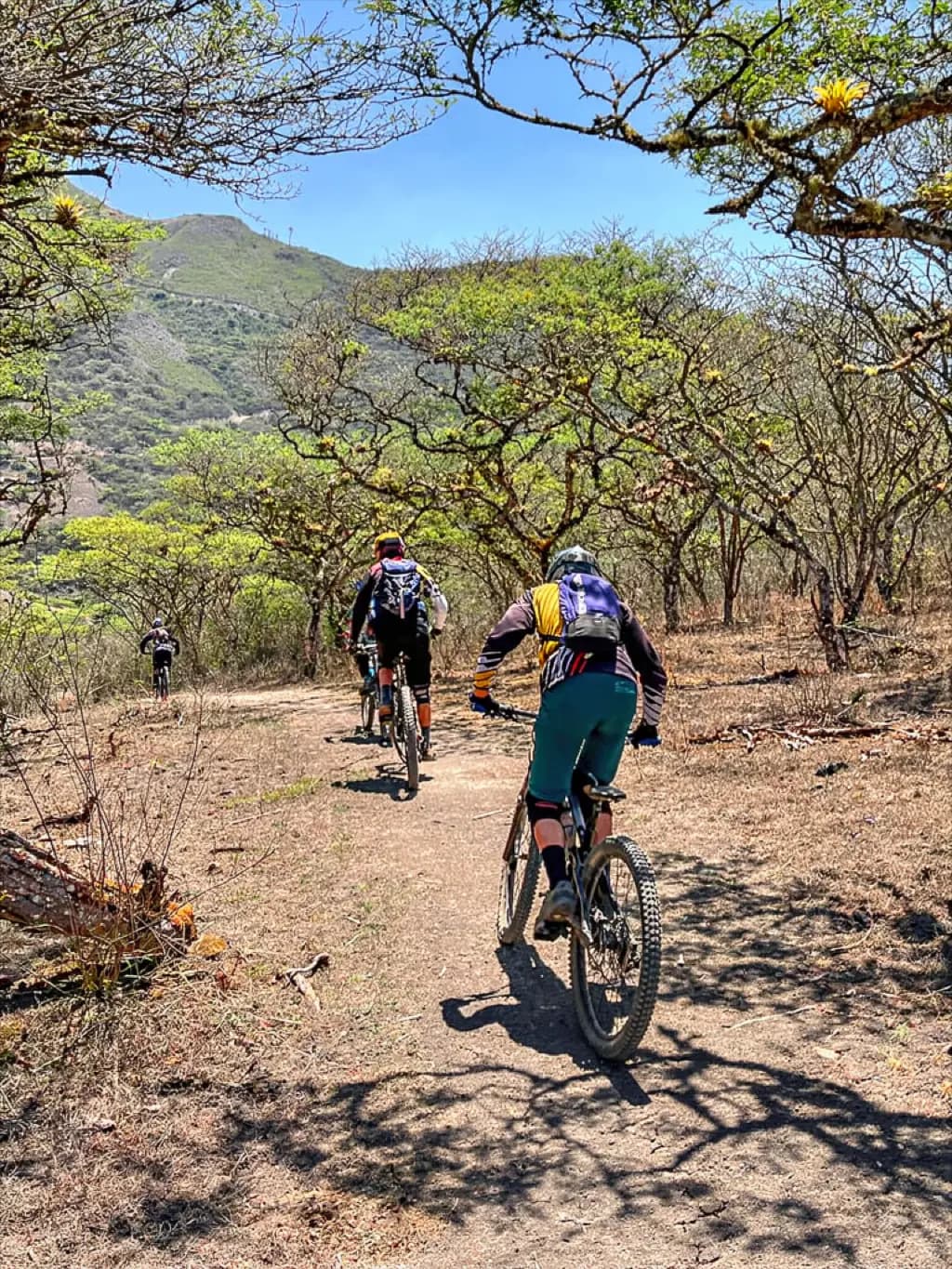Moments from the Andes